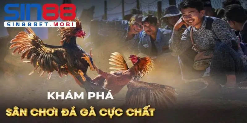 Tìm hiểu đôi nét về đà gà cựa tròn